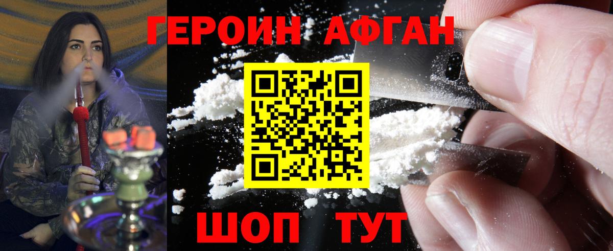 ГЕРОИН хмурый Бийск