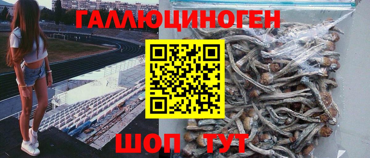 Псилоцибиновые грибы ЛСД Бийск